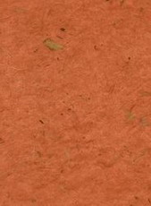 MILLED HAZELNUT BANANA PAPER SHEET